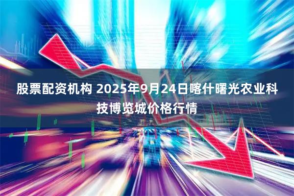 股票配资机构 2025年9月24日喀什曙光农业科技博览城价格行情