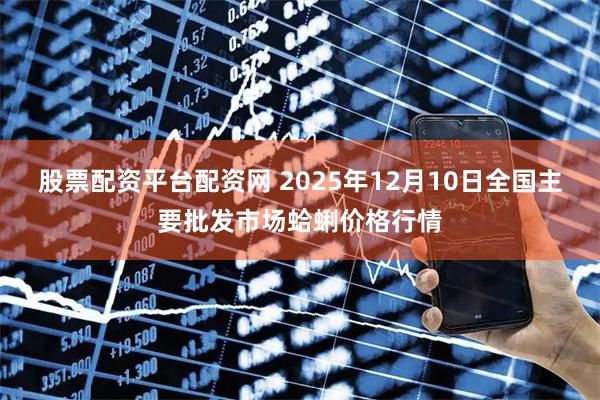 股票配资平台配资网 2025年12月10日全国主要批发市场蛤蜊价格行情